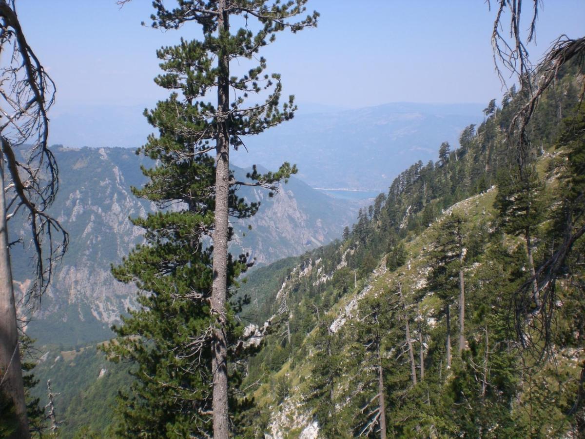 Appartamento Denylana Apartman Konjic Esterno foto